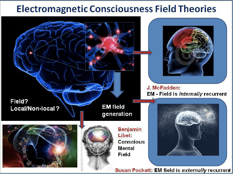 Origin of Consciousness Can the Quantum Mind Explain It