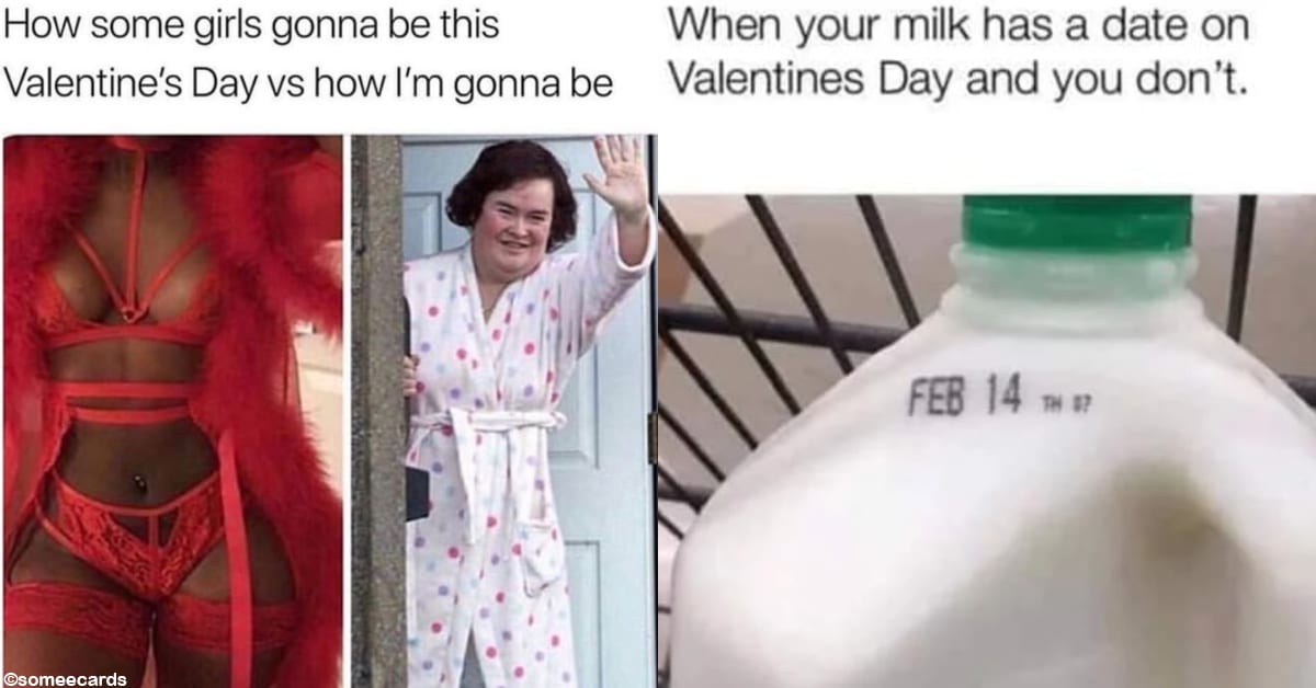 If You're Going to Be Single on Valentine's Day, These Memes Are for You