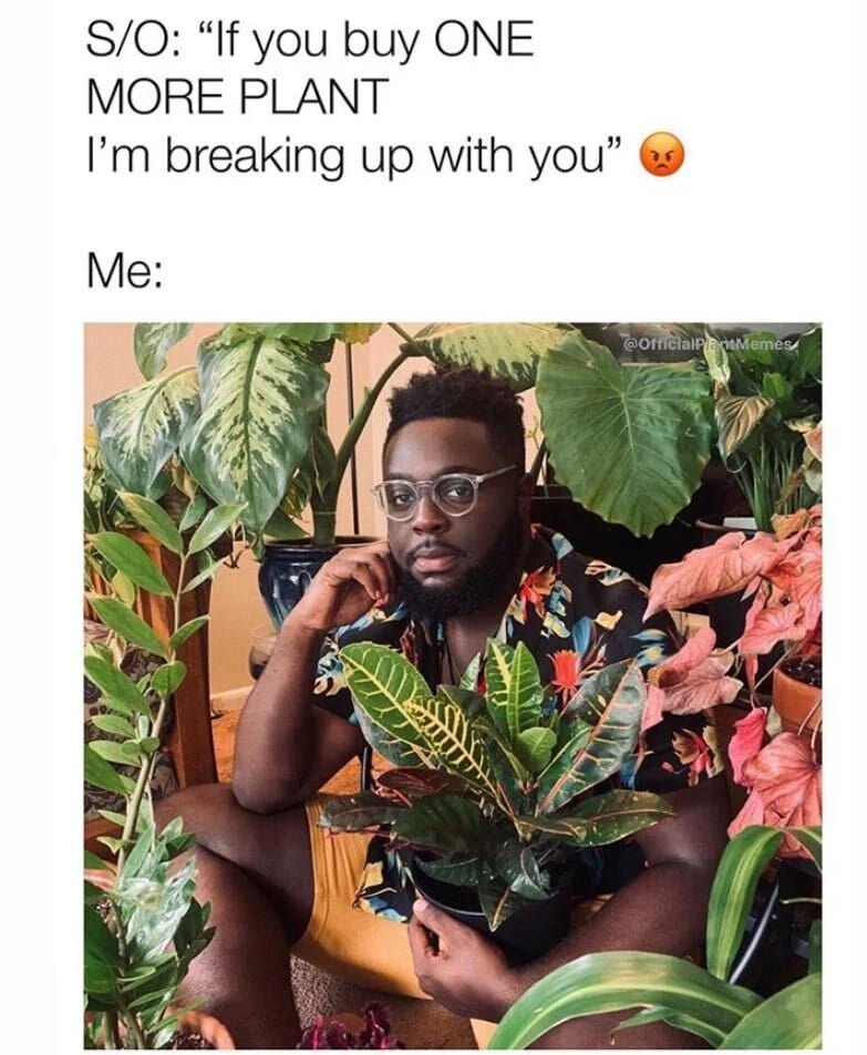 13 Memes for People Who Can't Stop Buying Plants