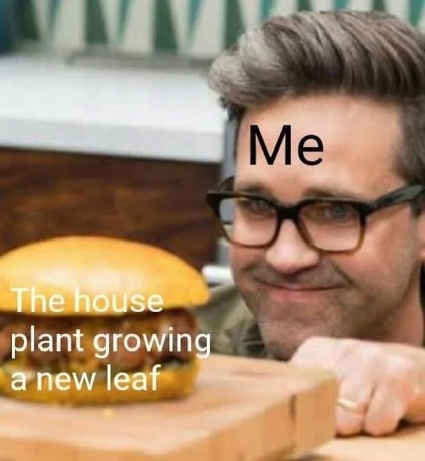 13 Memes for People Who Can't Stop Buying Plants