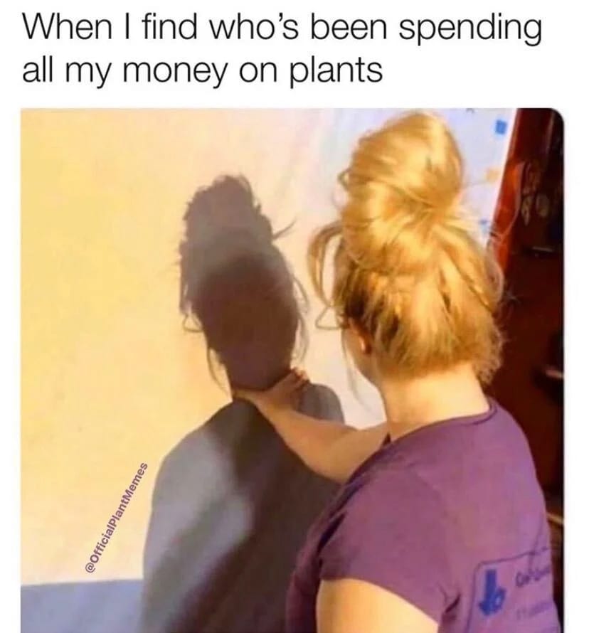 13 Memes for People Who Can't Stop Buying Plants
