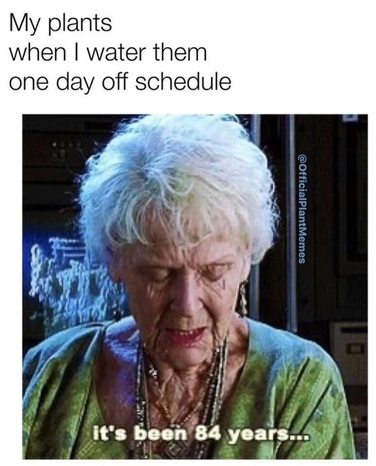 13 Memes for People Who Can't Stop Buying Plants