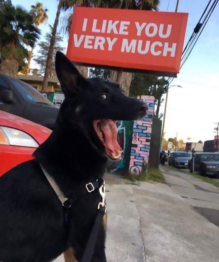 14 Wholesome Love Memes to Feel Good About