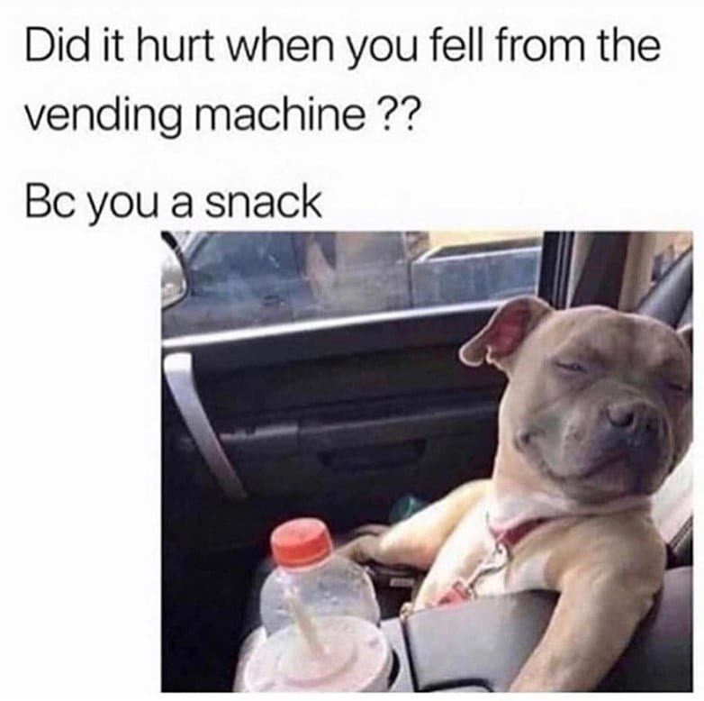 10 Cute Compliment Memes to Send To Your Special Someone