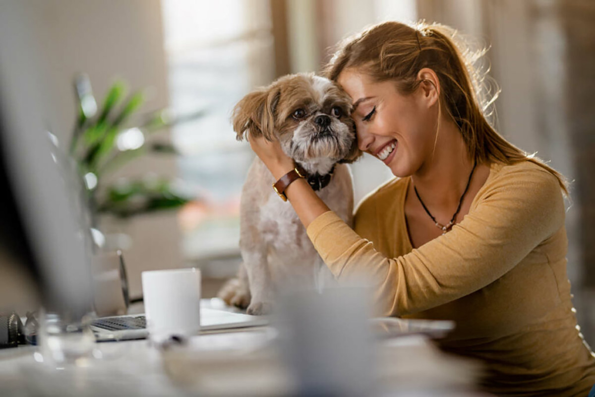How Pets Can Support Mental Health (Experts Explain) • HumanWindow
