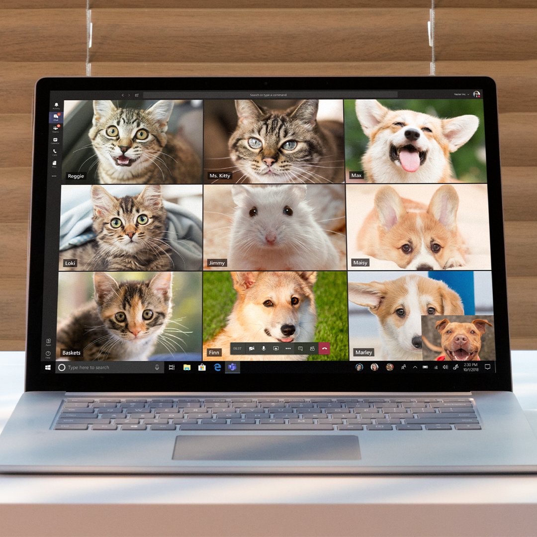 Virtual Coaching for Virtual Collaboration Humber Communiqué