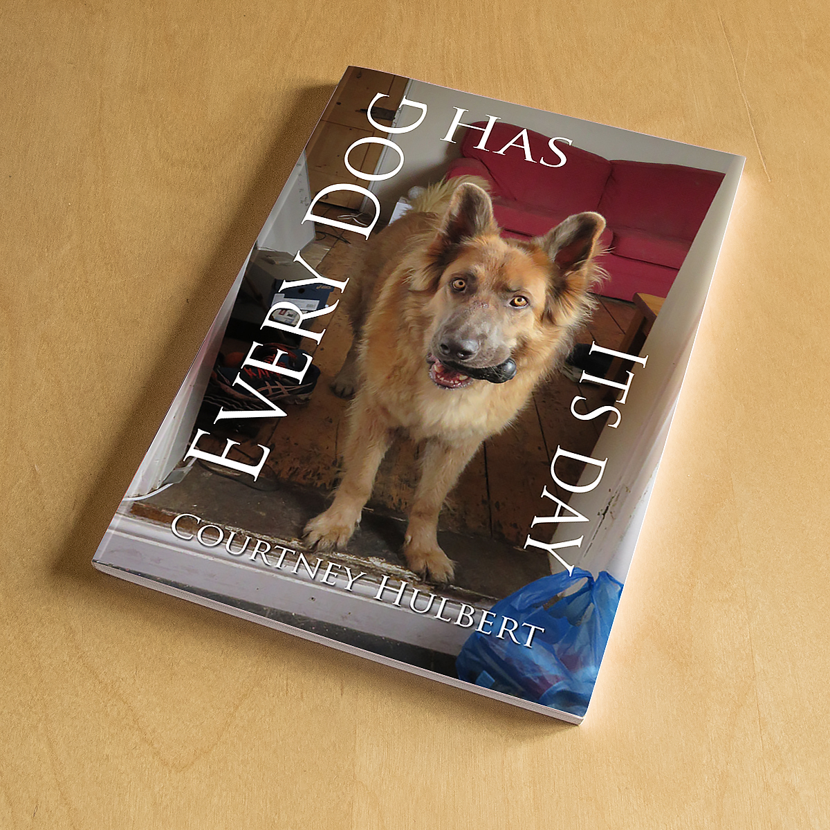 Every Dog Has Its Day Poems by Courtney Hulbert