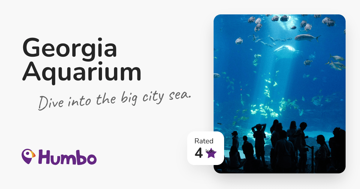 Aquarium Dive into the big city sea.