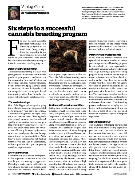 Six Steps to a Successful Cannabis Breeding Program Grow Opportunity