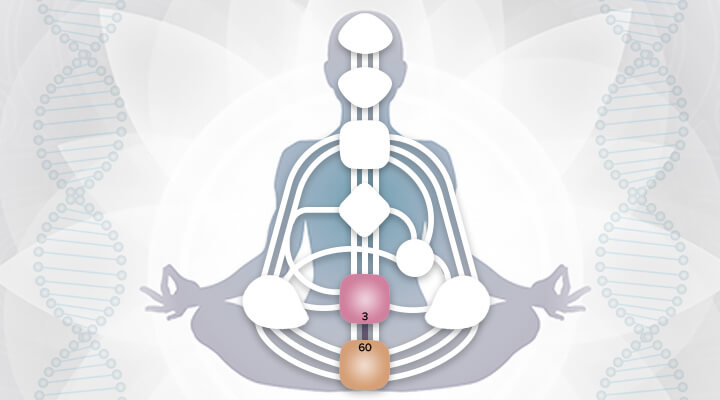 360 Mutation Channel Human Design