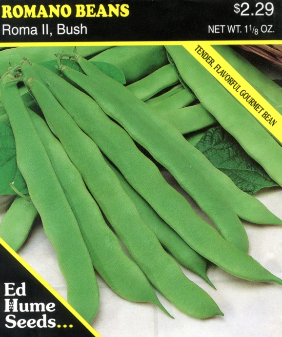 Beans Roma II, Bush, Romano Beans Hume Seeds