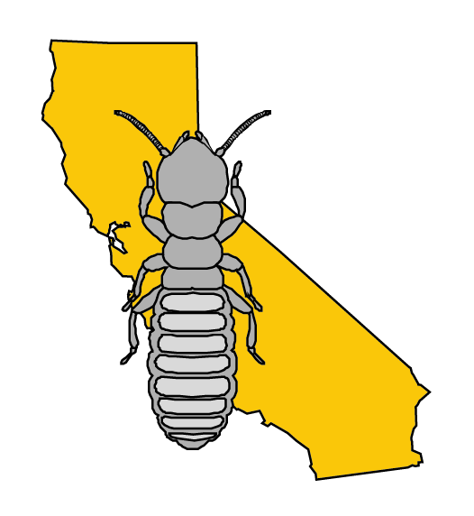 Termite Treatment Termite Control Oceanside CA Hume Termite