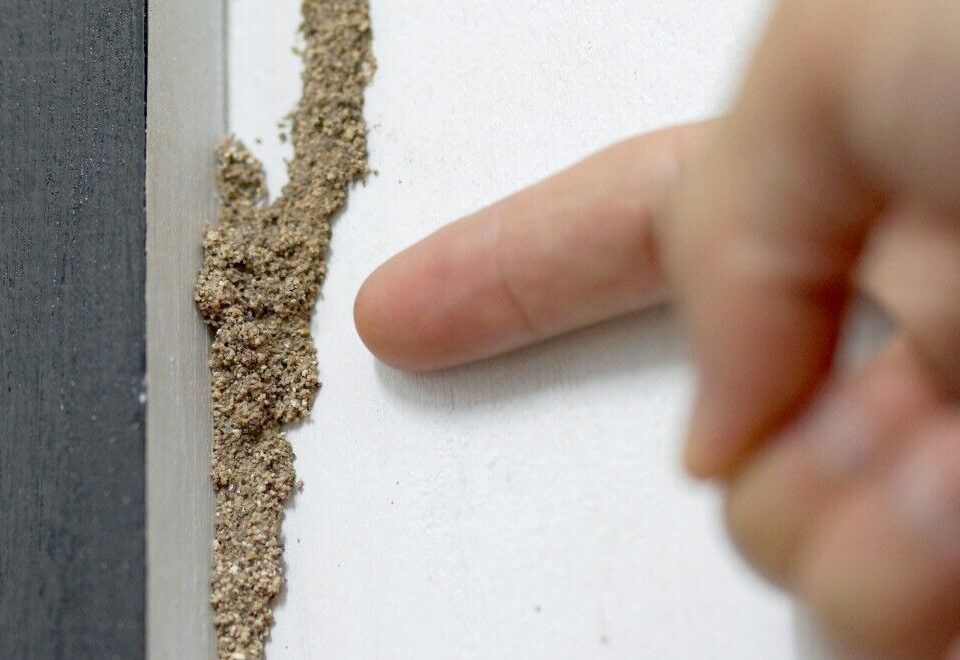Poway Termite Treatment Hume Termite Treatment and Damage Repair in