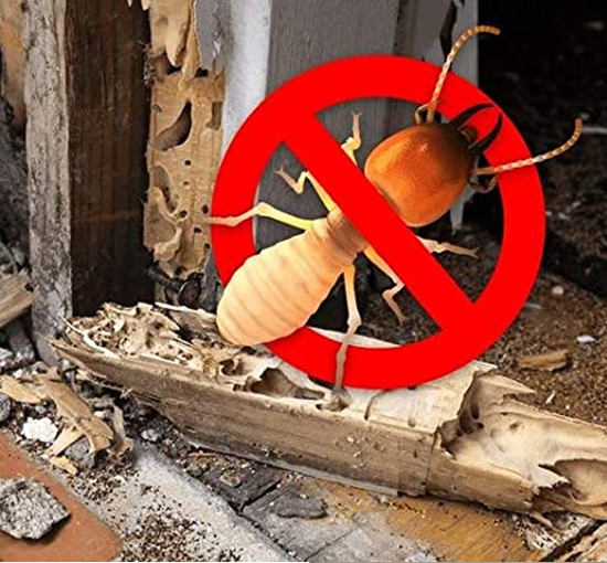 Termite Pest Control Escondido Hume Termite