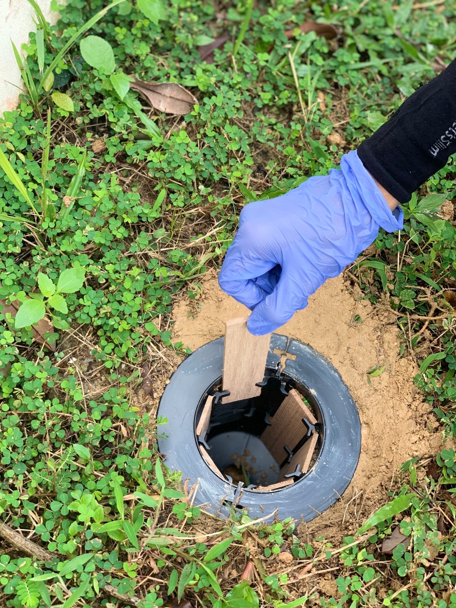 Termite Treatment Oceanside Hume Termite
