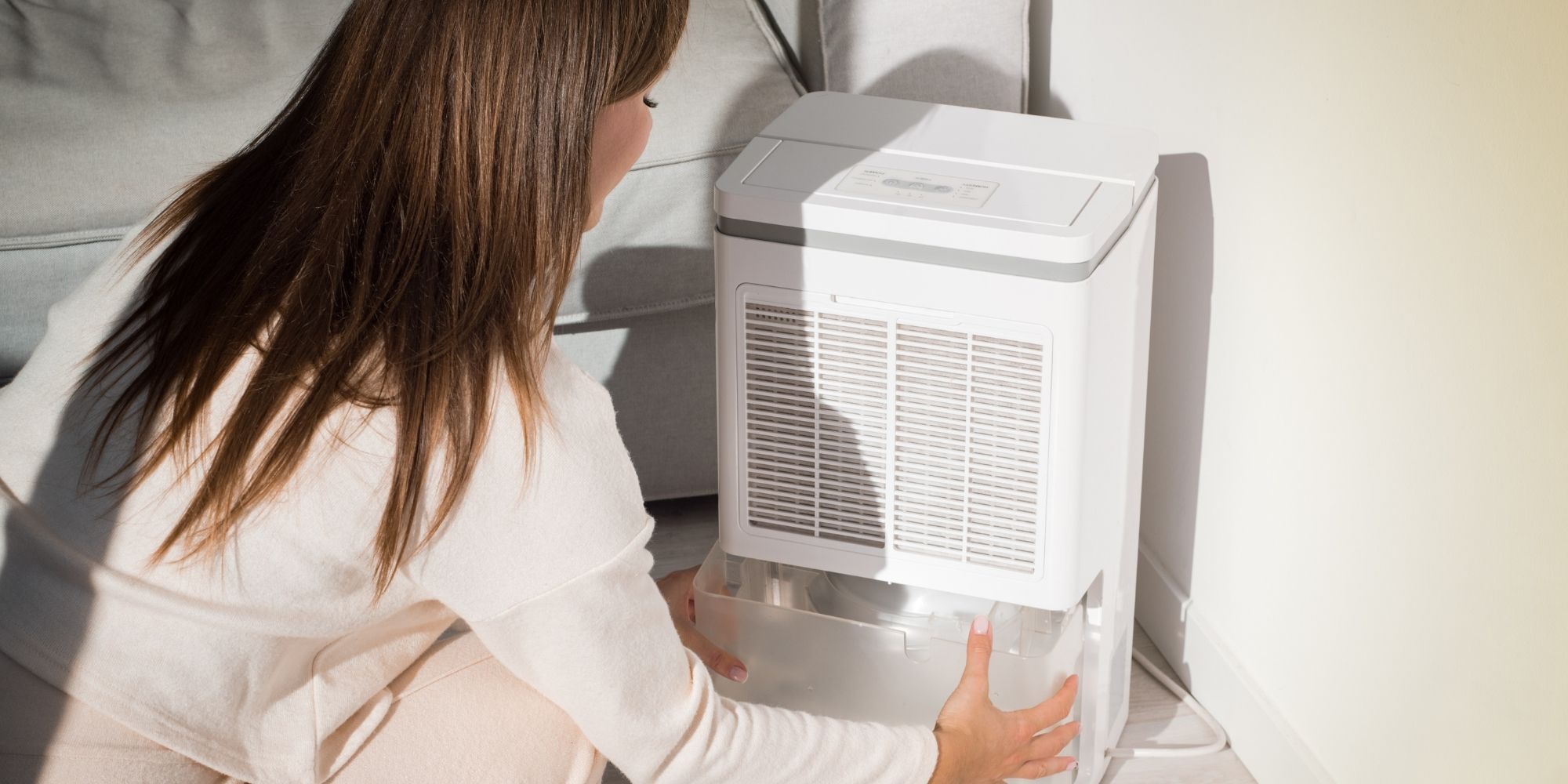 Is Dehumidifier Water Distilled? Humidity Fixers