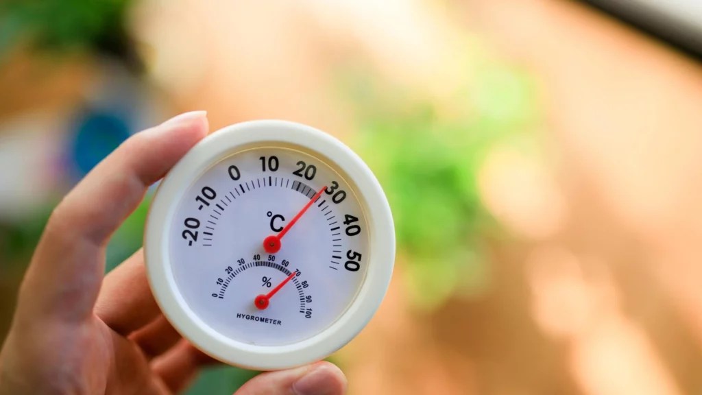 What Is A Hygrometer? [Definition, Uses & Types Explained]
