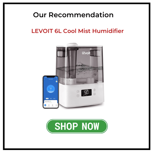 Best Plant Humidifier For Your Indoor Plants [September 2024]