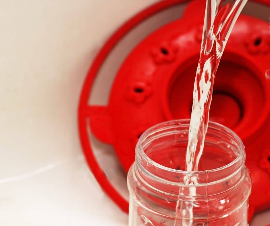 How to Fill a Hummingbird Feeder? Hummingbirds Info