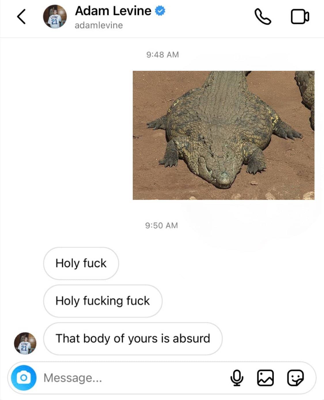 Adam Levine Text And DM Meme Template(03)