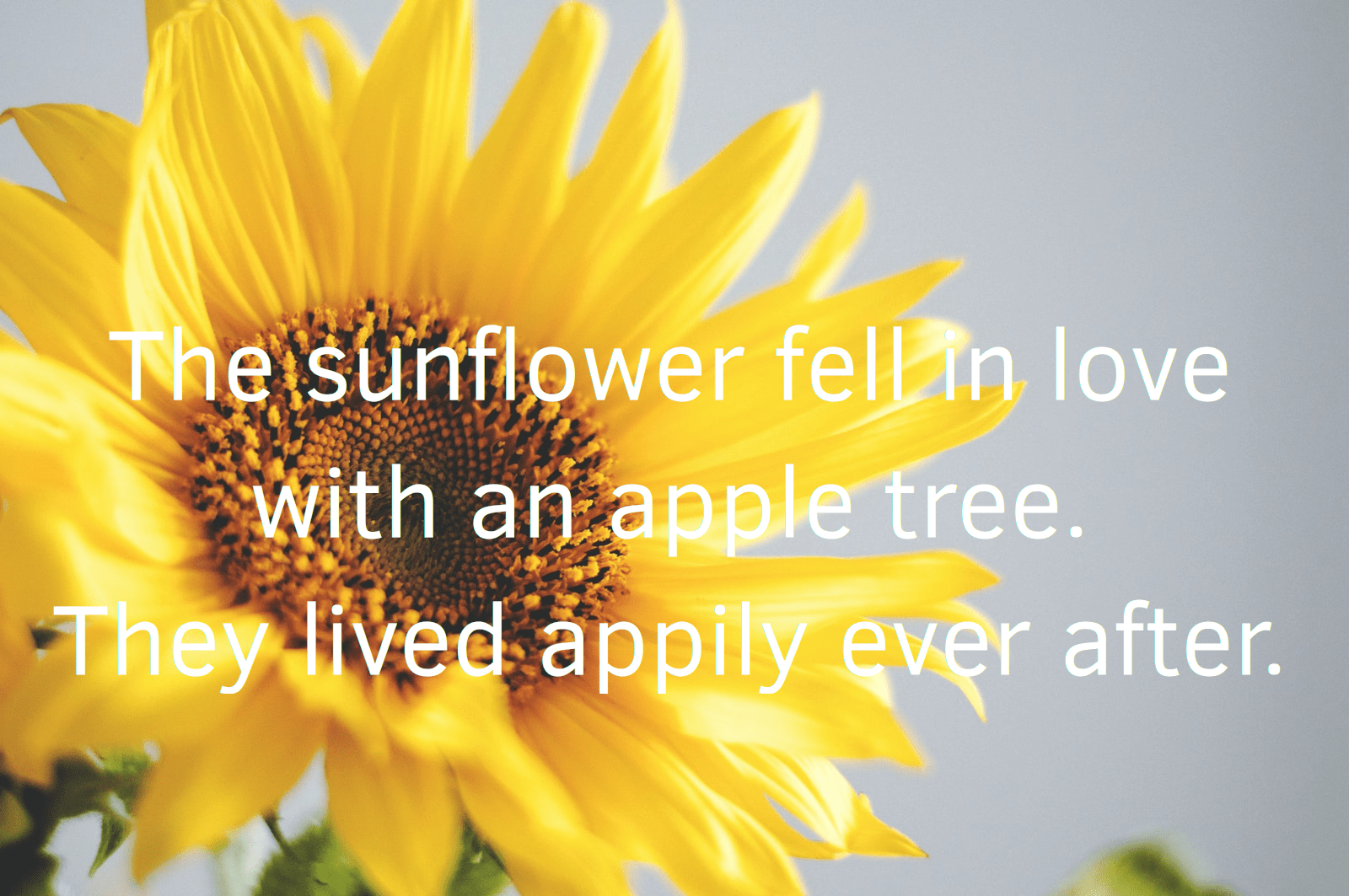 99+ Best Flower Puns & Jokes So Funny You’ll Definitely LOL