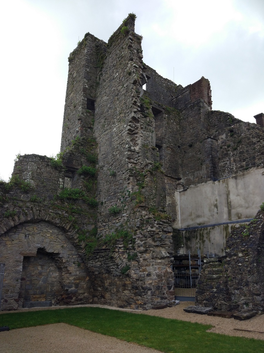 Houses For Sale In Castle Court Carrick On Suir at Carolyn Krueger blog