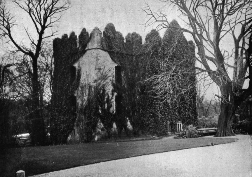 Dundrum Castle, Co.Dublin
