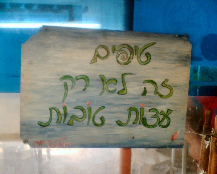 שירת הבלו באס.