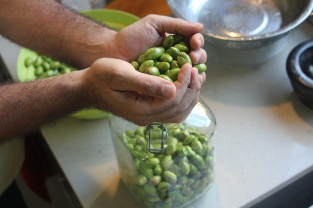 olives-A8