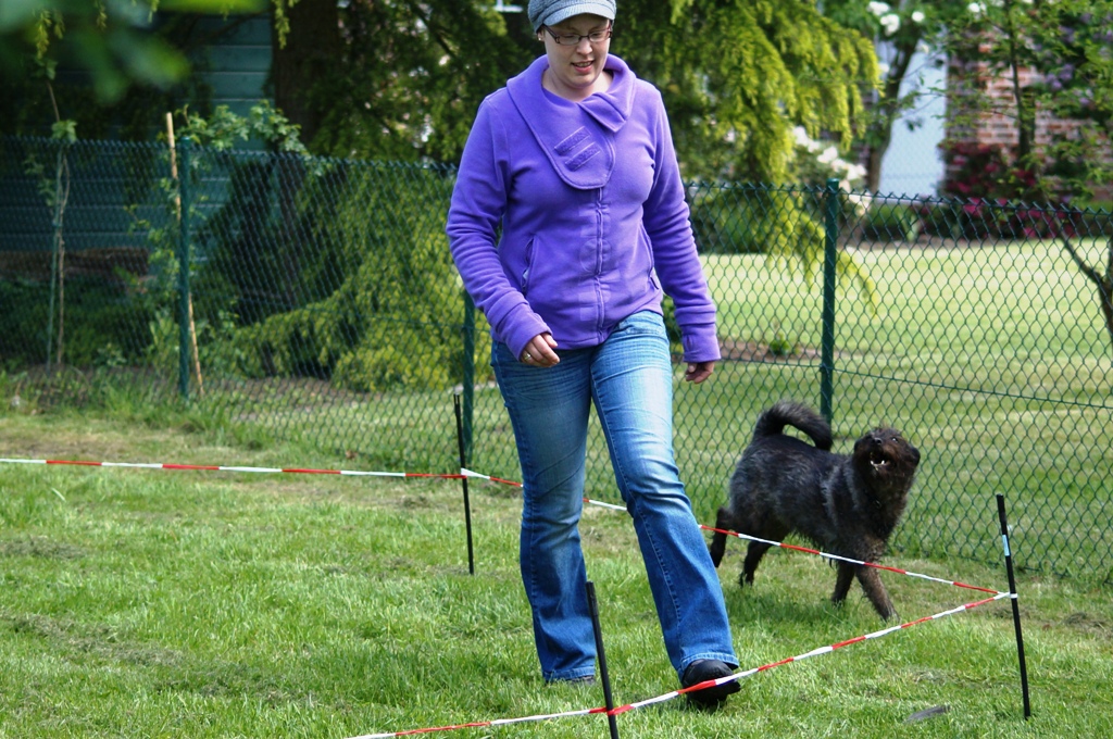 Longieren mit Hund DVG HundArt Nordwalde e.V.