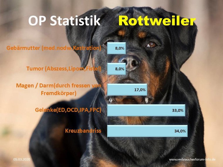 Hundekrankenversicherung für Rottweiler