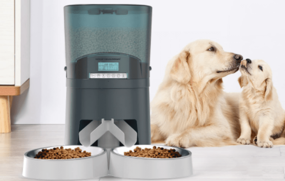 【ᐅ】Hunde Futterautomat Test für 2022