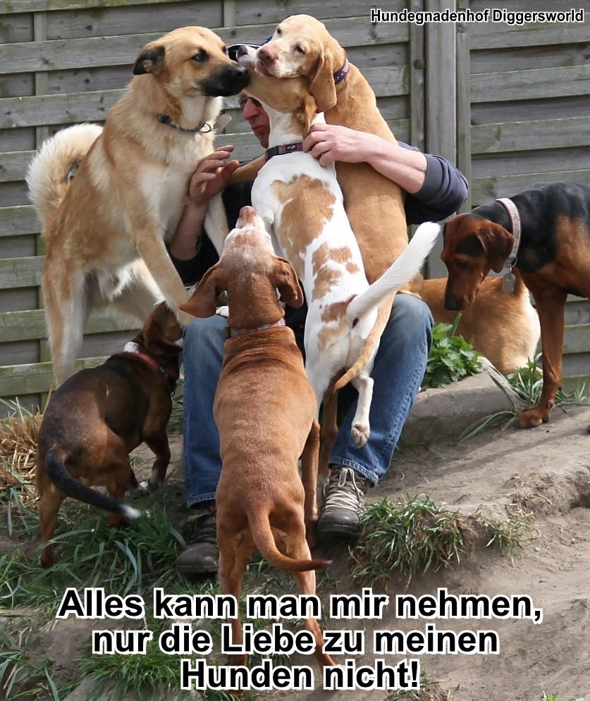 Über uns und den Gnadenhof