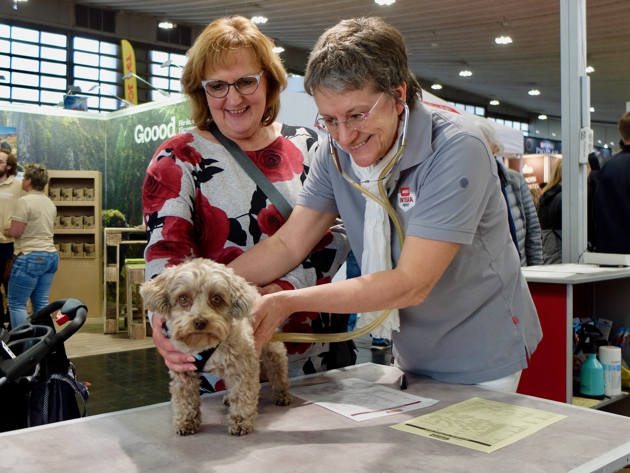 Hund & Katz Schlaraffenland für Vierbeiner Hunderunden