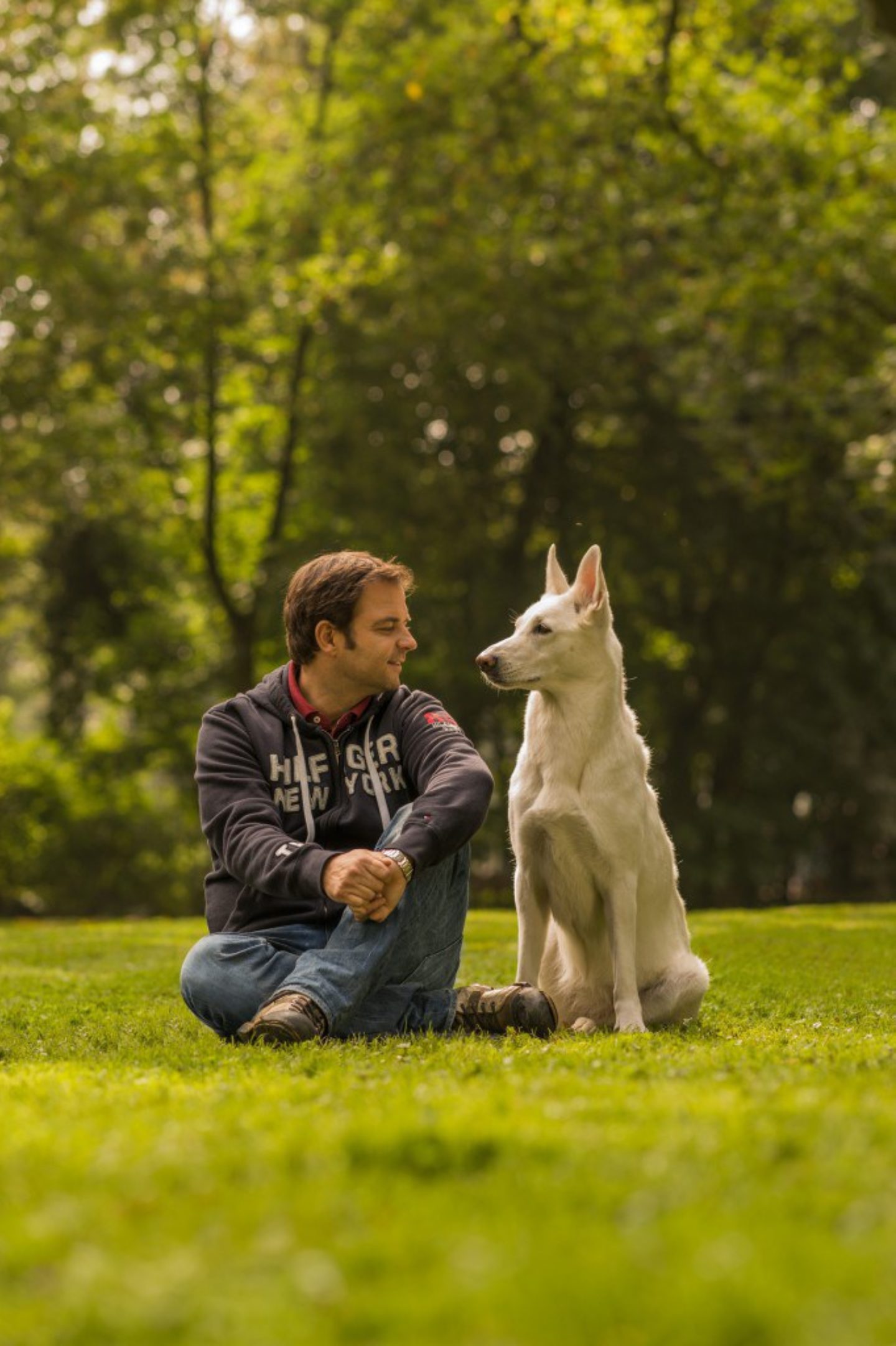 Die neue Staffel „Der Hundeprofi“ bei VOX Hunderunden