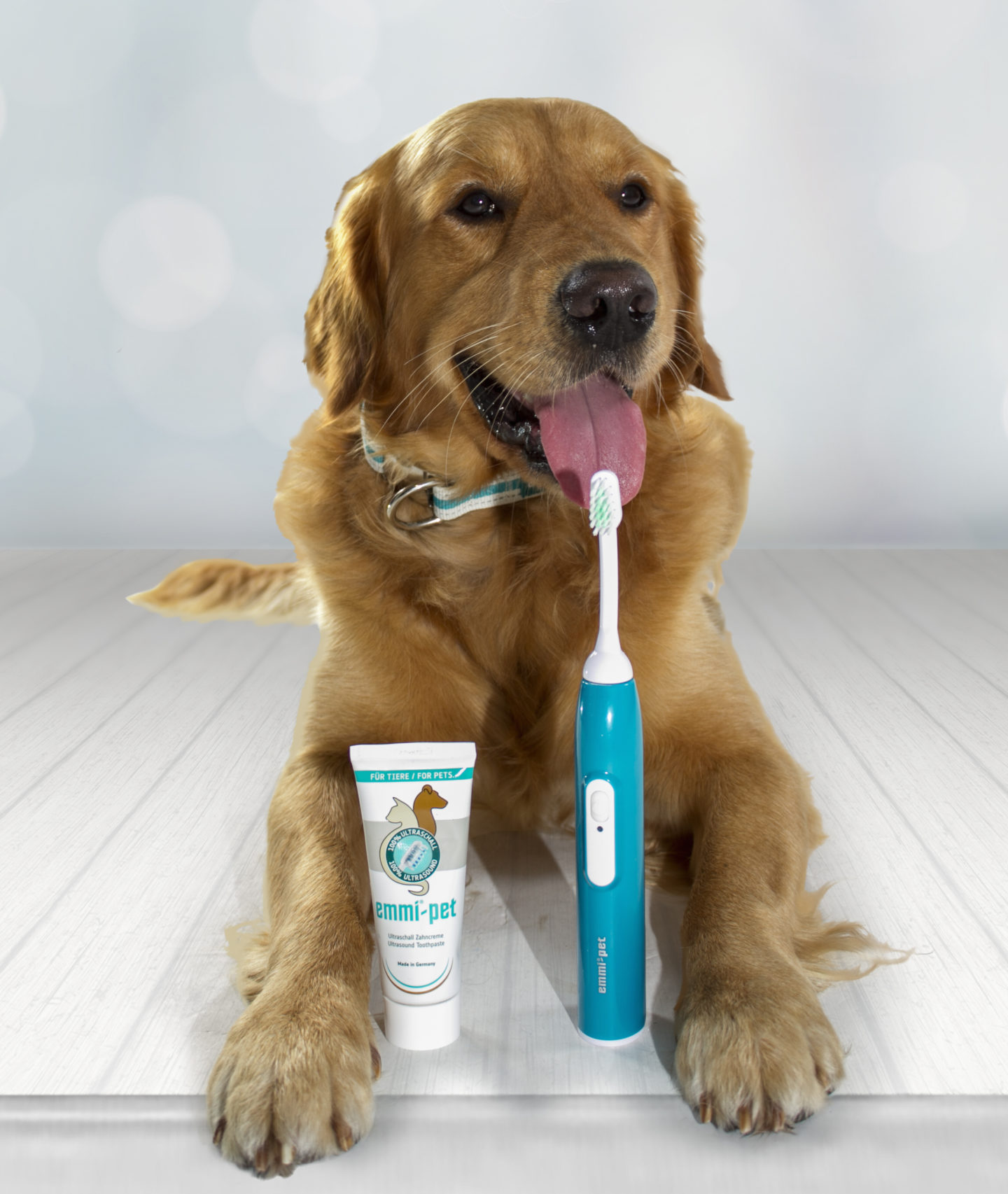 EmmiPet Ultraschall Zahnbürste für Hunde Hunderunden