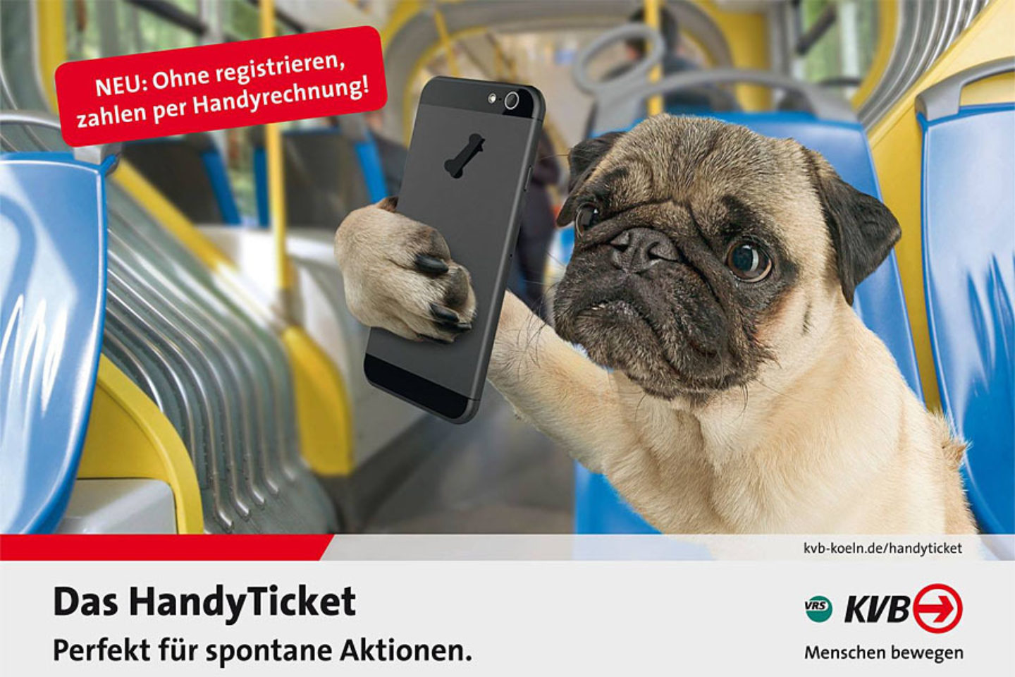 Keine Werbung mit Mops & Co! Hunderunden