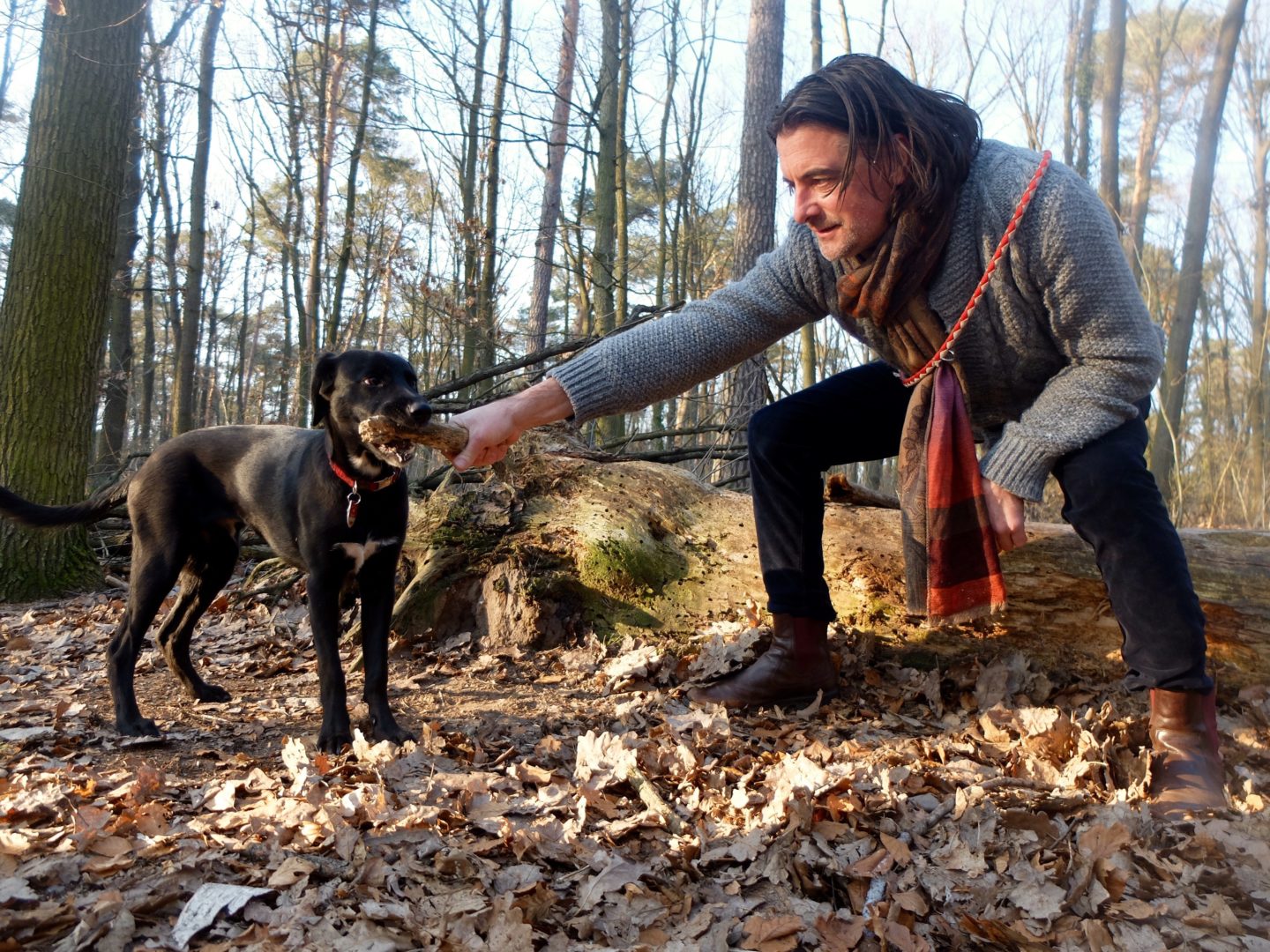 Alexander Graf von Schlieffen "Mit Pilz, Stern und Gitarre!" Hunderunden