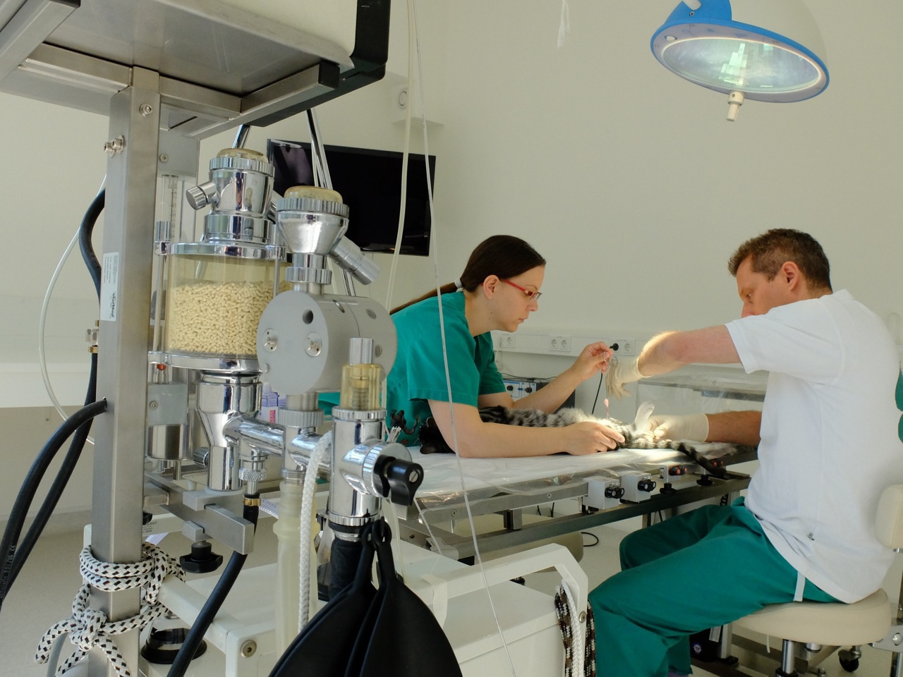 Kleintierpraxis Dr. Sabine Holland & Dr. Ralf Unna Hunderunden