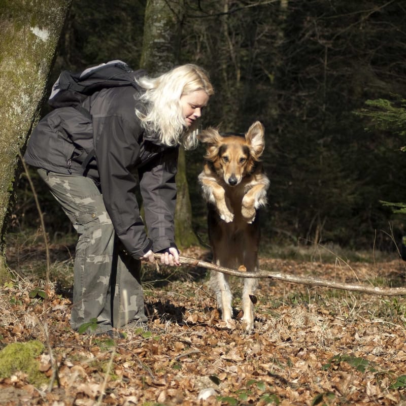 Links [hundeschulemohaja.ch]
