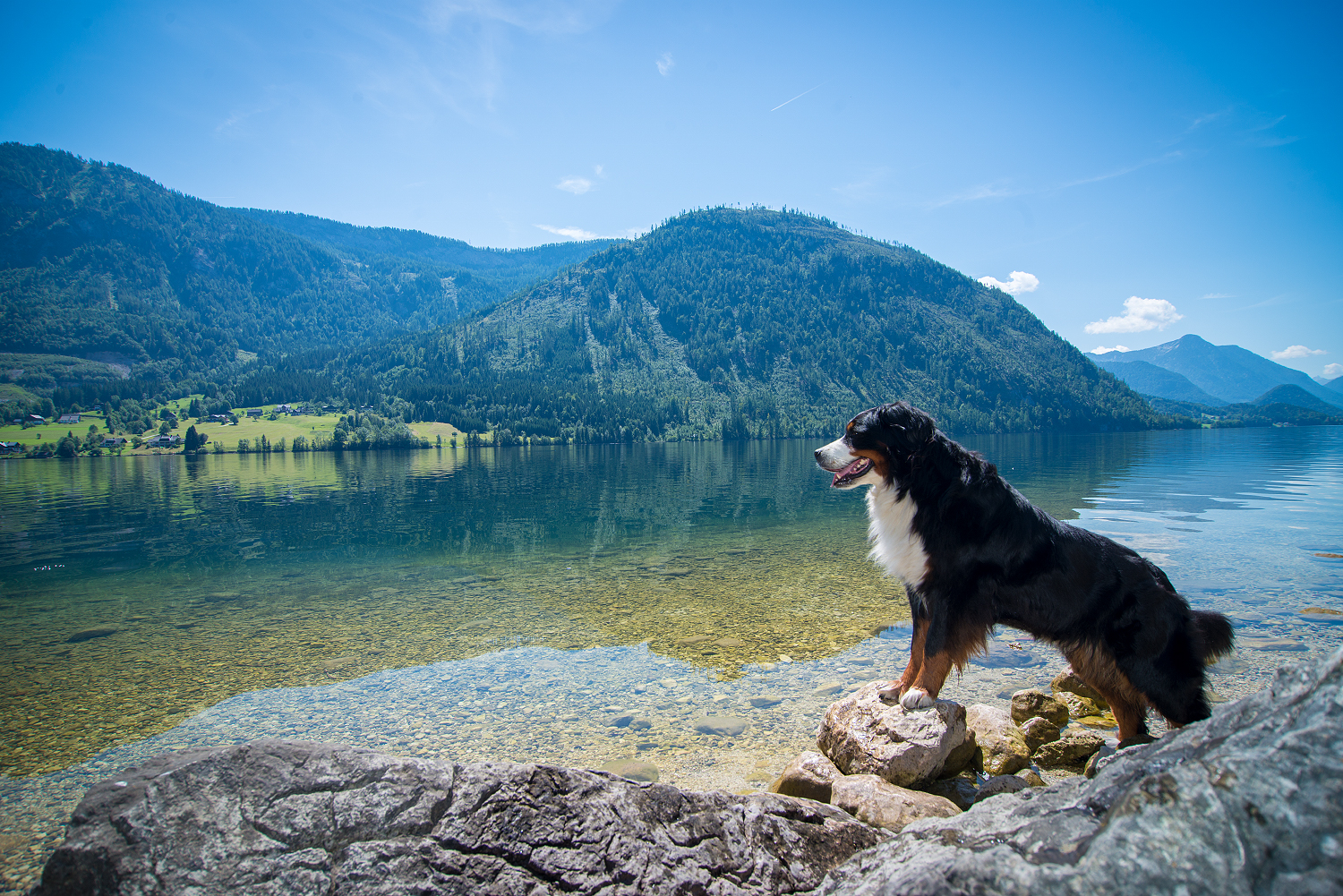 Auf einen Blick Mit Hund nach Österreich Hundterwegs