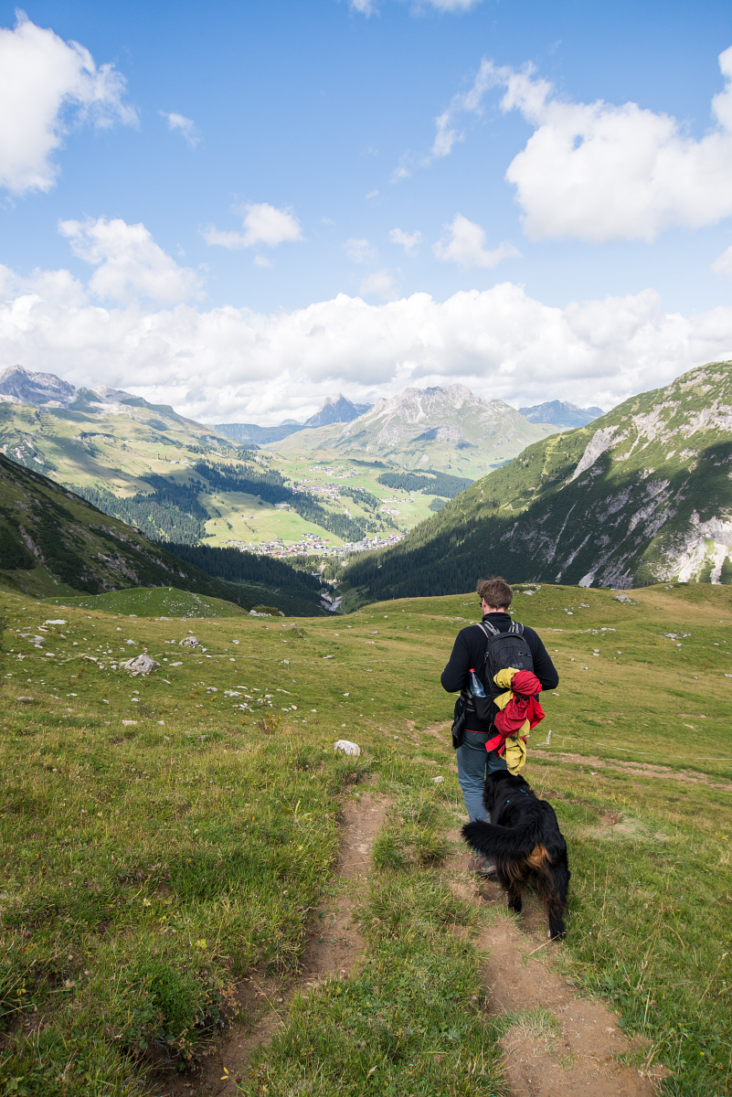 Auf einen Blick Mit Hund nach Österreich Hundterwegs
