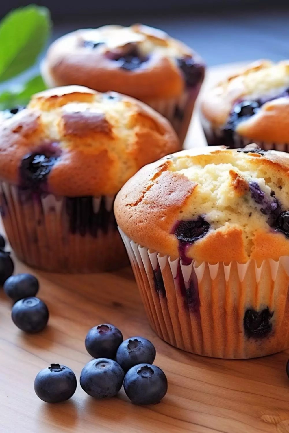 Costco Blueberry Muffin Recipe Hungarian Chef