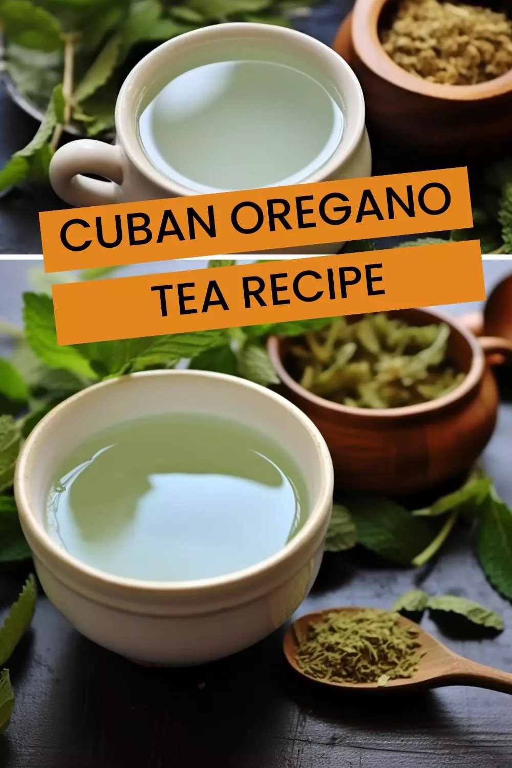 Cuban Oregano Tea Recipe Hungarian Chef