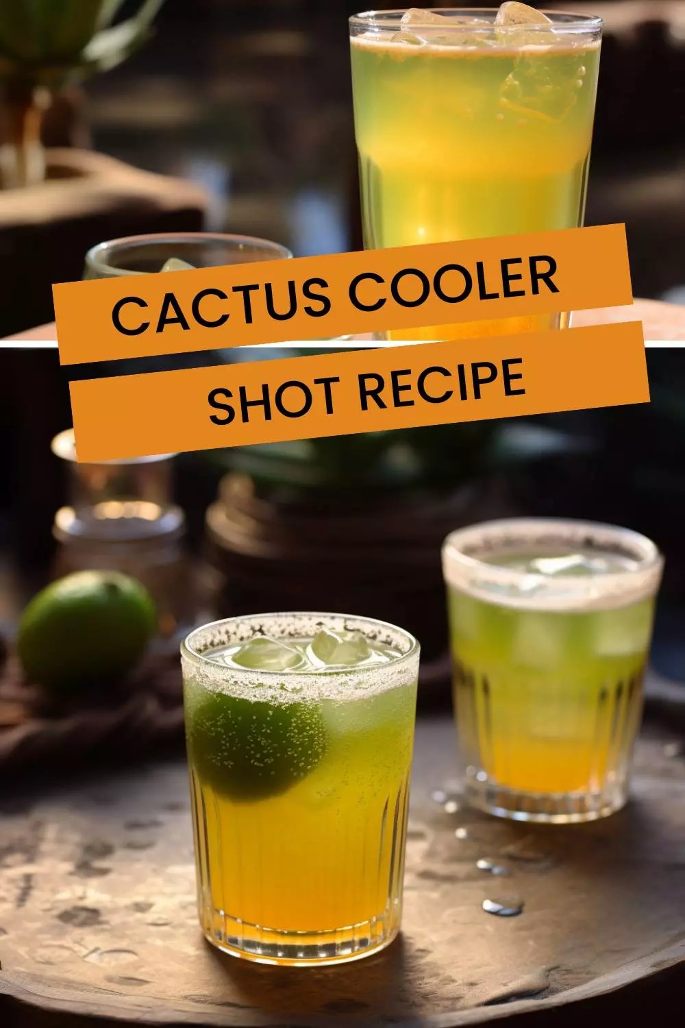 Cactus Cooler Shot Recipe Hungarian Chef