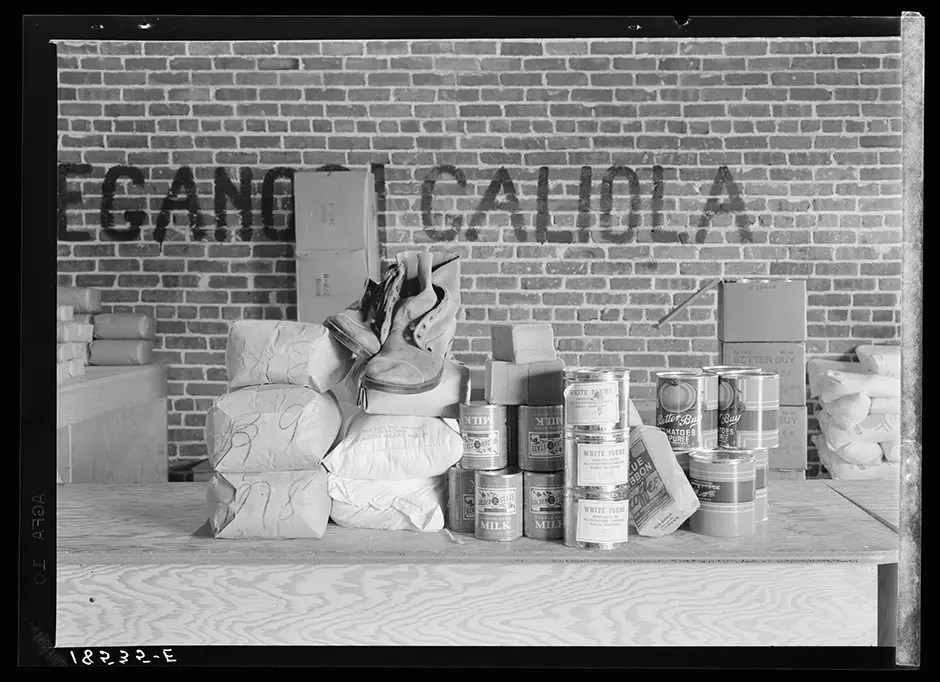 The Food Stamp Program The Hunger Museum A Virtual Project of MAZON