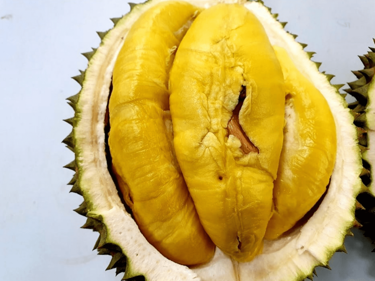 Durian season How to get your favourite durian delivered HungryGoWhere