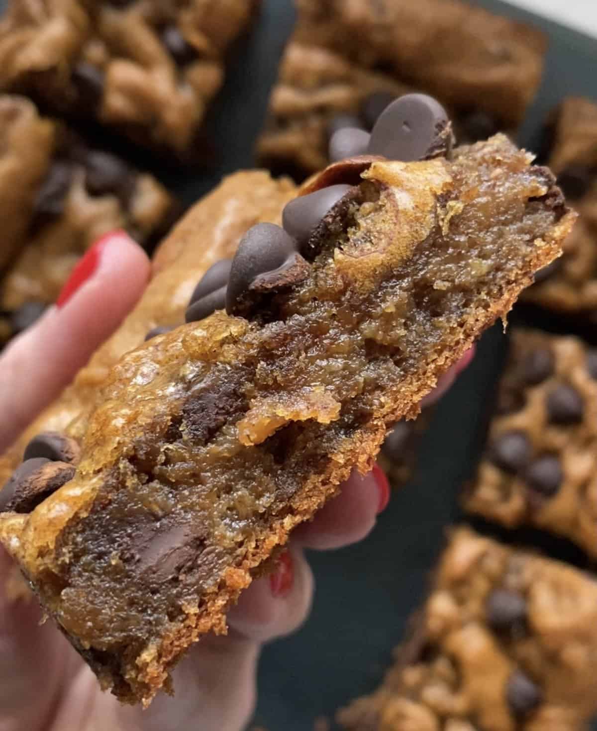 Flourless Peanut Butter Banana Chocolate Chip Bars (One Bowl) Hungry