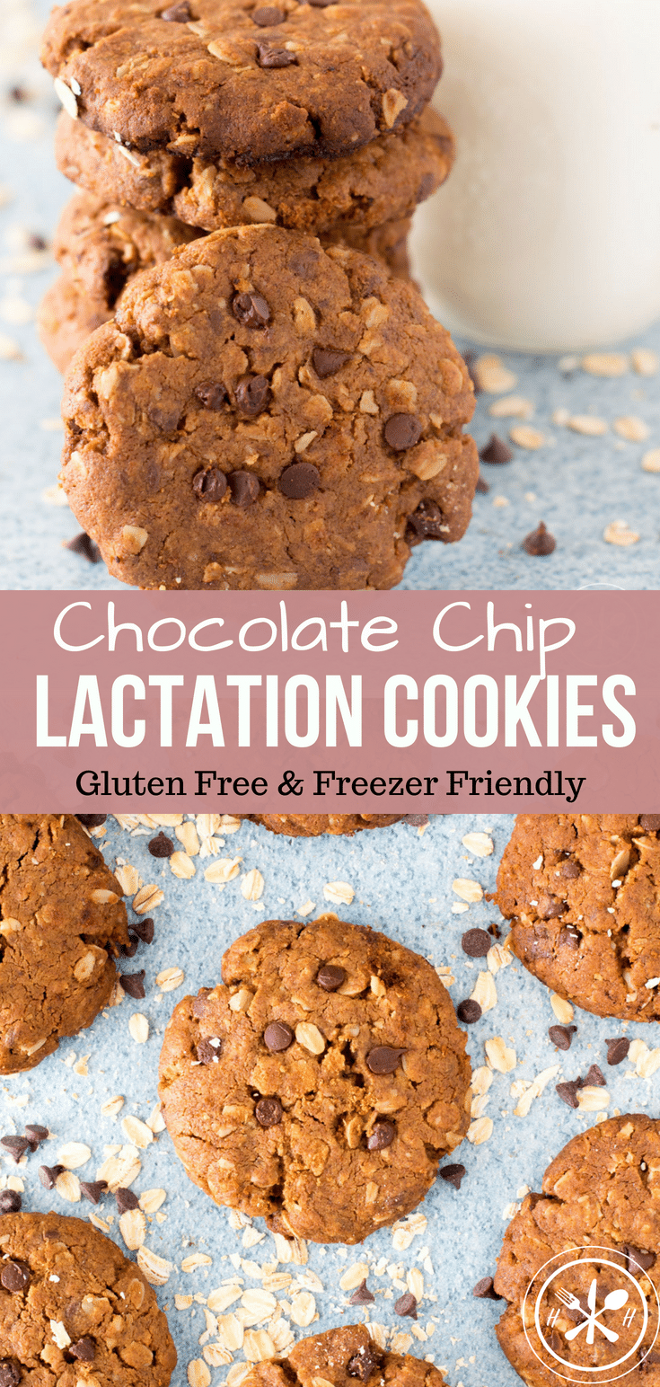 Chocolate Chip Oatmeal Lactation Cookies Hungry Hobby