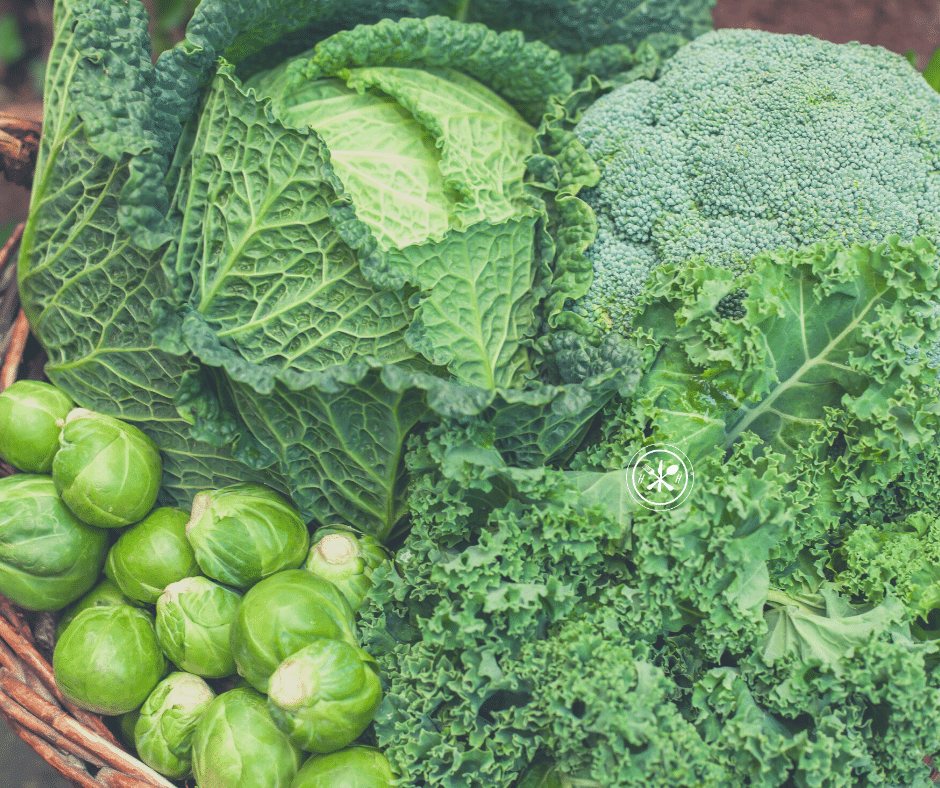 What Fruit and Vegetables Are In Season In January? (Produce Guide